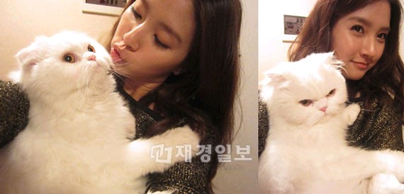 韓国女優キム・ソウンが愛猫のクンにキスしているセルフショットを公開した。写真=キム・ソウンのツイッター