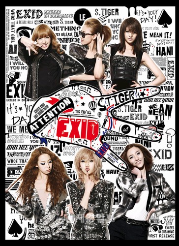 注目の韓国新人6人組ガールズグループ「EXID」(エックスアイディー)が16日、1stデジタルシングル『 Whoz that girl』の発表と同時に音楽番組でデビューステージを行なった。