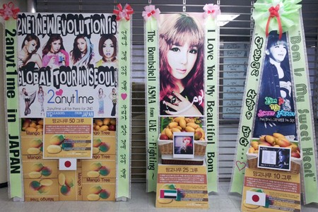 2NE1の韓国内外のファンが、ツアーを開始した2NE1にマンゴーの木を贈り応援の気持ちを表した。写真=ドリーミー
