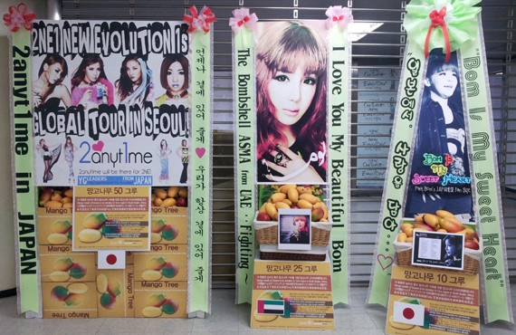 2NE1の韓国内外のファンが、ツアーを開始した2NE1にマンゴーの木を贈り応援の気持ちを表した。写真=ドリーミー
