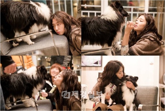 『隣のイケメン』で主人公を熱演中のパク・シネが犬にキスをしている写真が公開された。